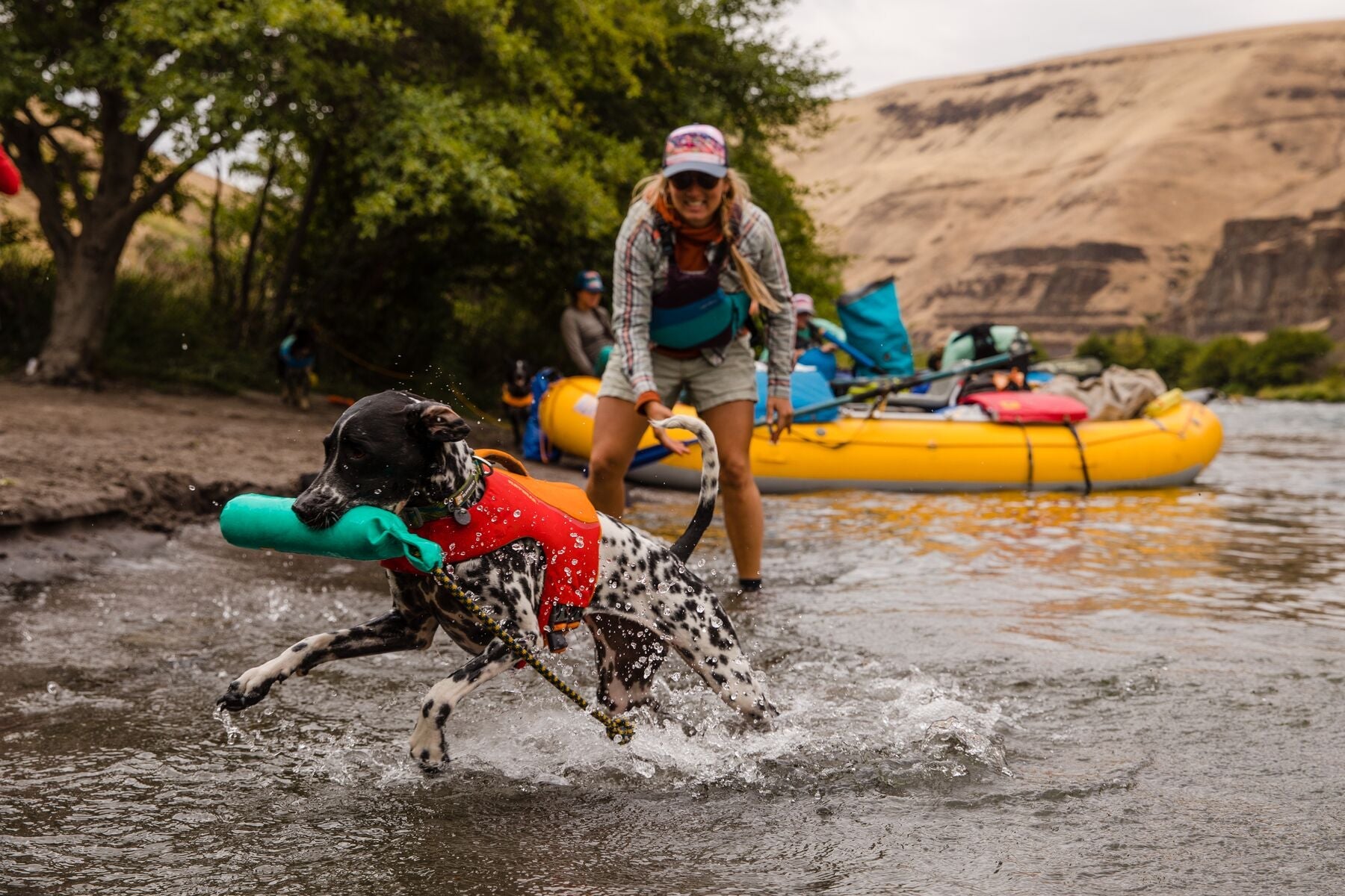 Float Coat Pre 2025 (Ruffwear) - SnowPaw Store - Ruffwear - Active Dog Gear